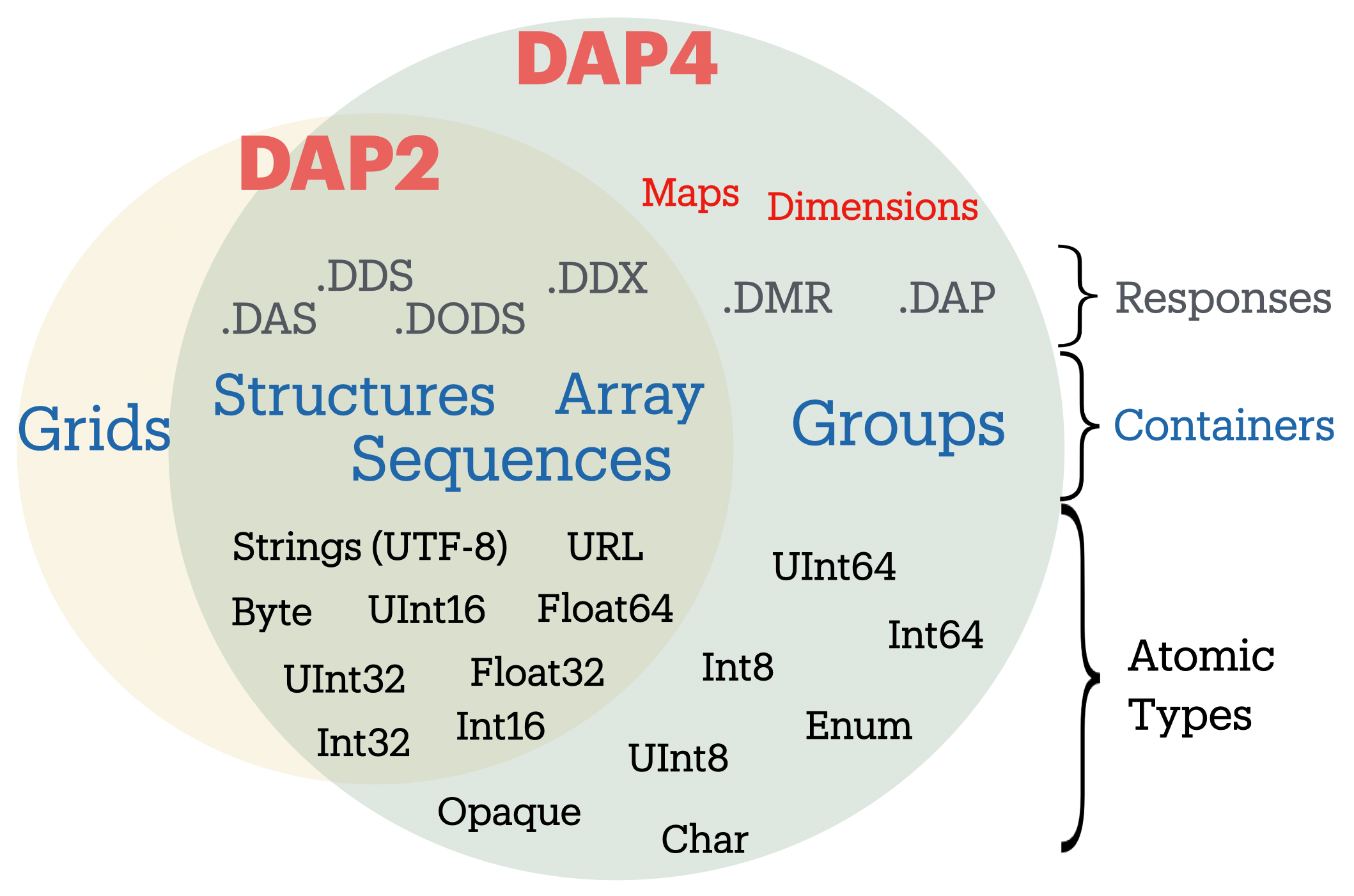 DAPvsP4